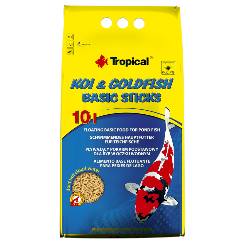 koi goldfish basic sticks 10.jpg